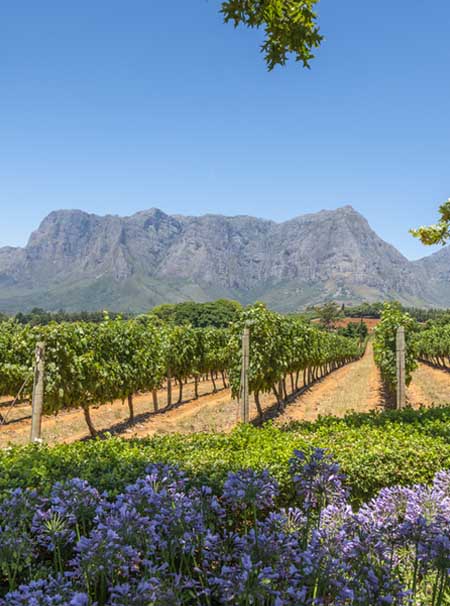 Afrique du Sud