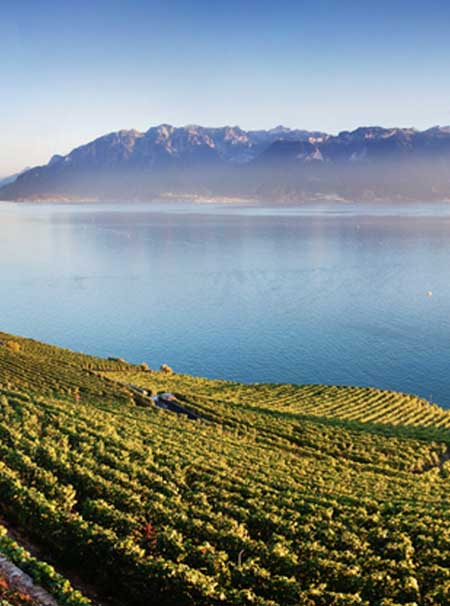 Suisse