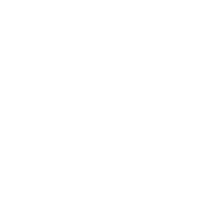 shumi logo w