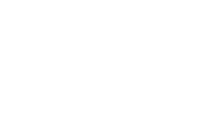 al¦ne logotype rvb