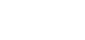 logo domaine duchemin 1