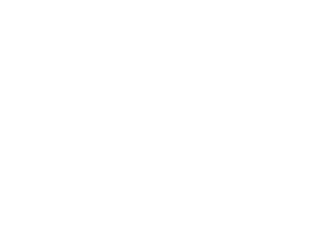 logo jmvb or