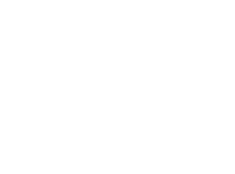 mad moser logo